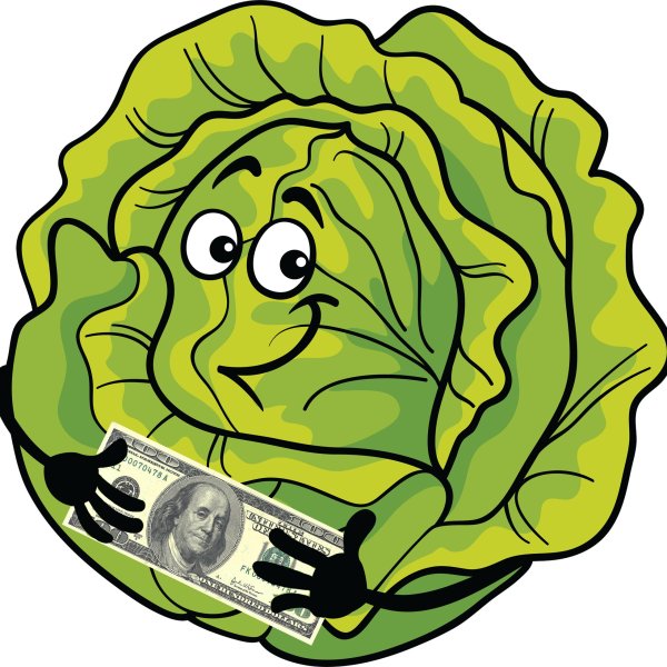 Капуста рисунок