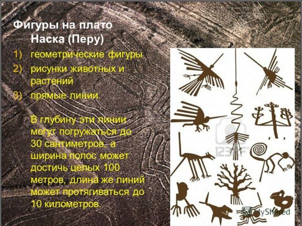 Плато Наска в Перу рисунки