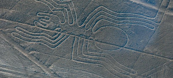 Наска паук геоглиф