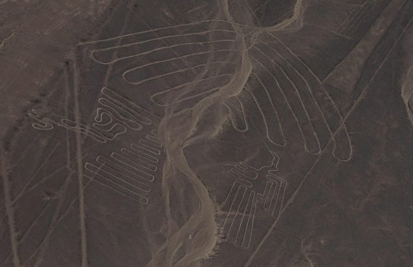 Геоглиф кошки на плато Наска