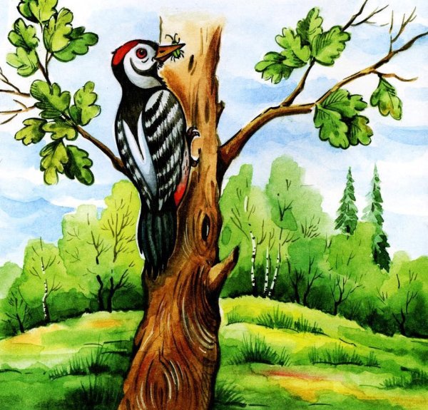 Дятел на дереве
