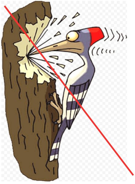 Дятел долбит