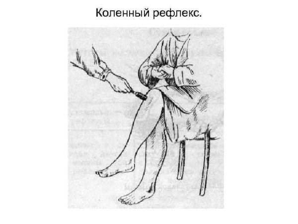 Рис 125 коленный рефлекс
