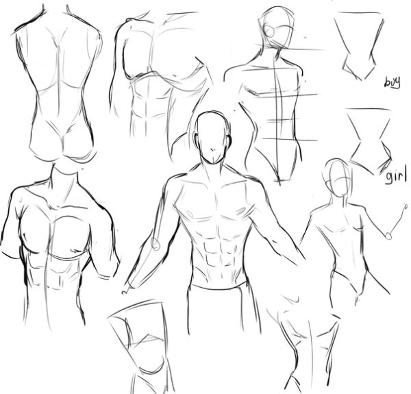 Как рисовать тело мужчины поэтапно