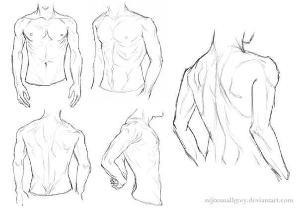 Мужской торс сбоку референс