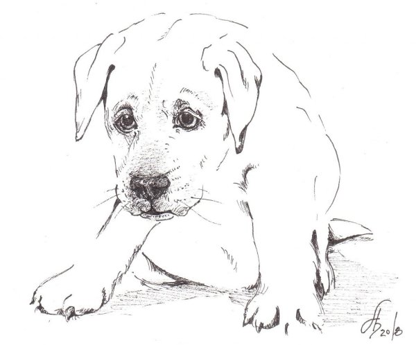 Нарисовать грустную собаку
