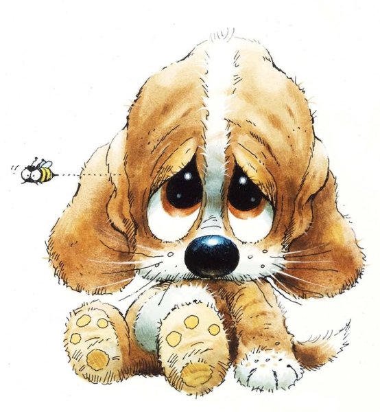 Грустный щенок