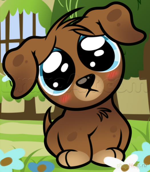 Щенок с большими глазами