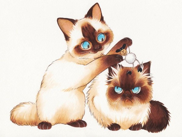 Сиамский кот мультяшный