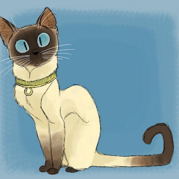Сиамский кот мультяшный