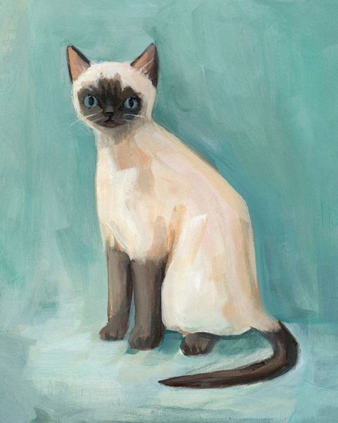 Сиамская кошка