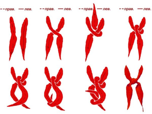 Пионерский галстук