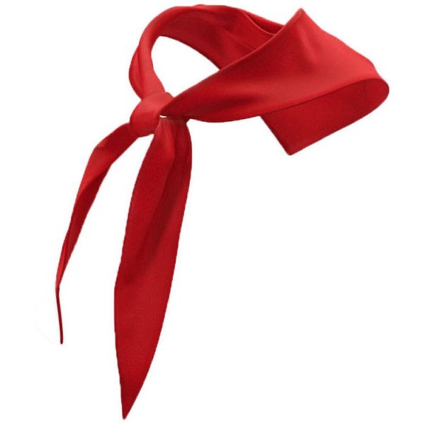 Пионерский галстук на прозрачном фоне