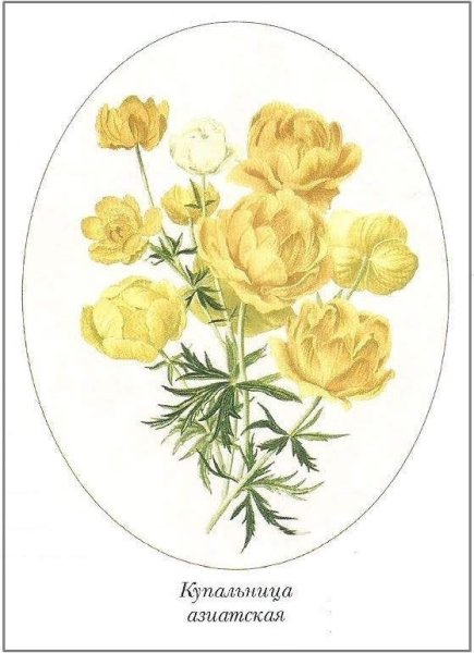 Картина Италмасы