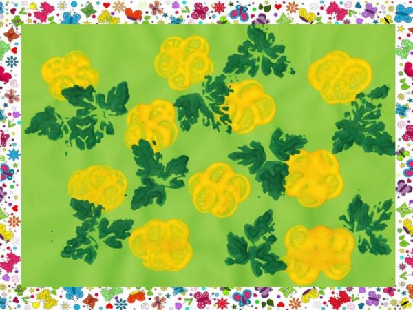 Купальница европейская листья