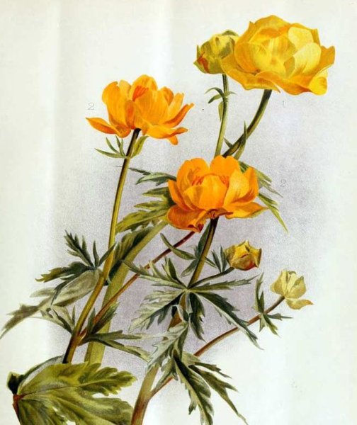 Выставка картин Весеннее настроение