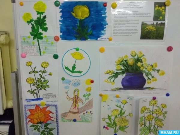 Лютик эскиз