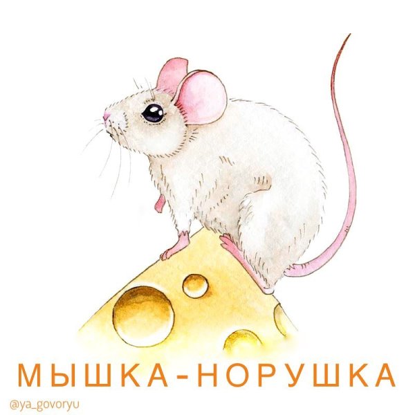 Теремок мышка норушка