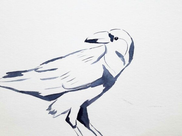 Белая ворона