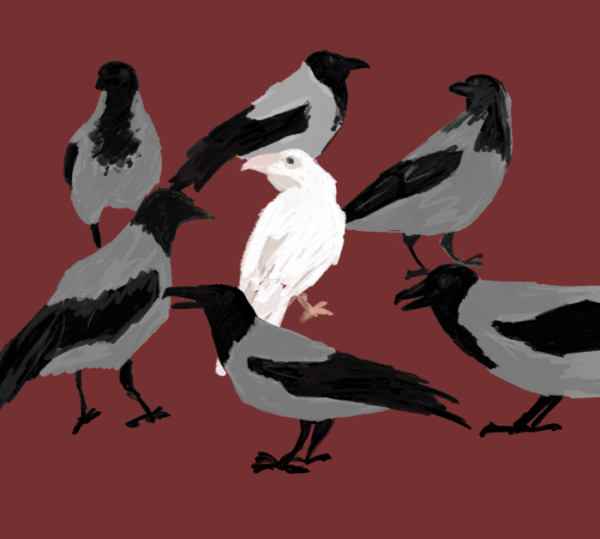 Белая ворона