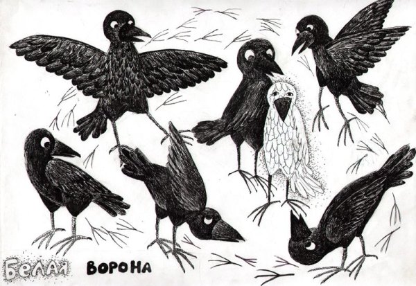 Белая и черная ворона