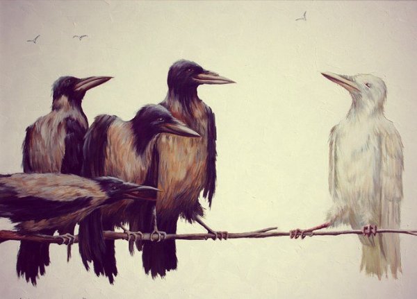 Белая ворона среди чёрных