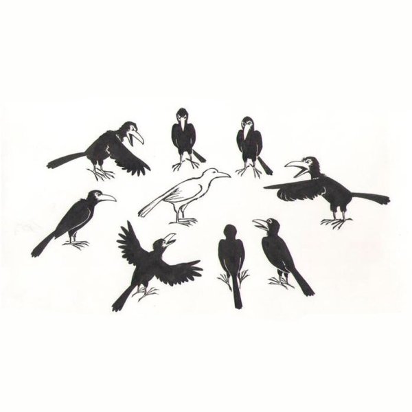 Белая ворона фразеологизм