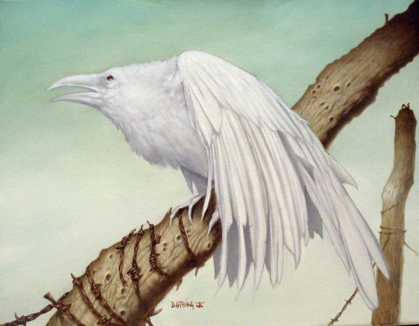 Белый ворон арт