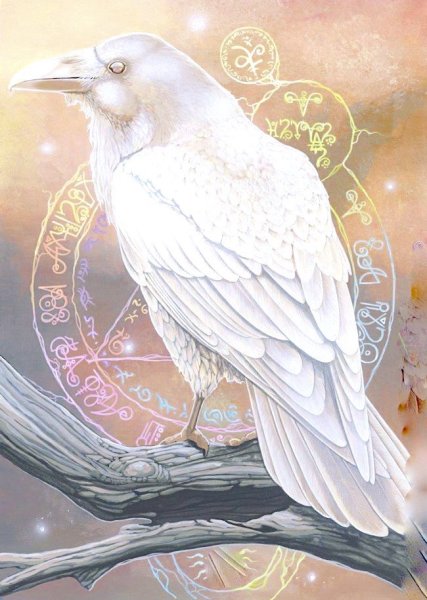 Белая ворона птица