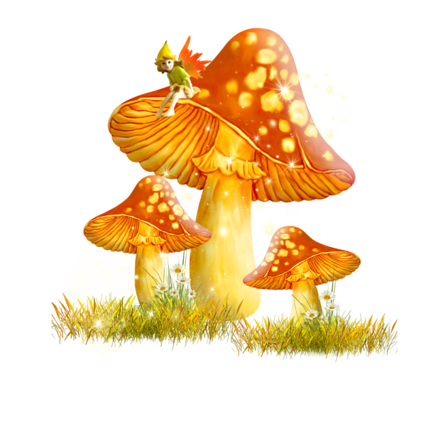 Сказочные грибы на прозрачном фоне