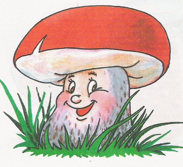 Сказочный гриб Боровик