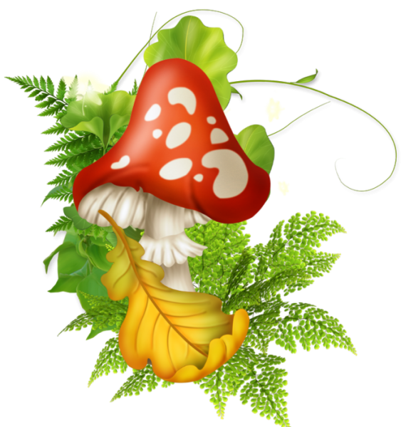 Сказочный мухомор