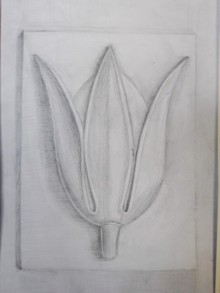 Построение гипсовой розетки Академический рисунок