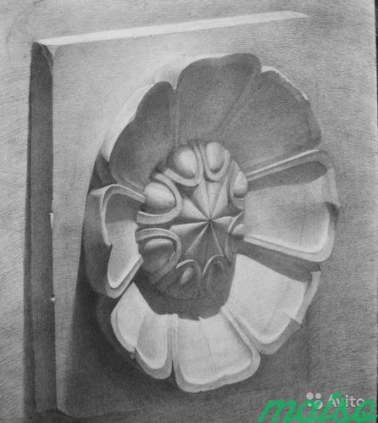 Этапы рисования гипсовой розетки