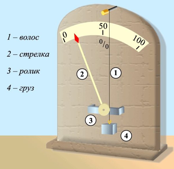 Приборы для измерения влажности волосяной гигрометр