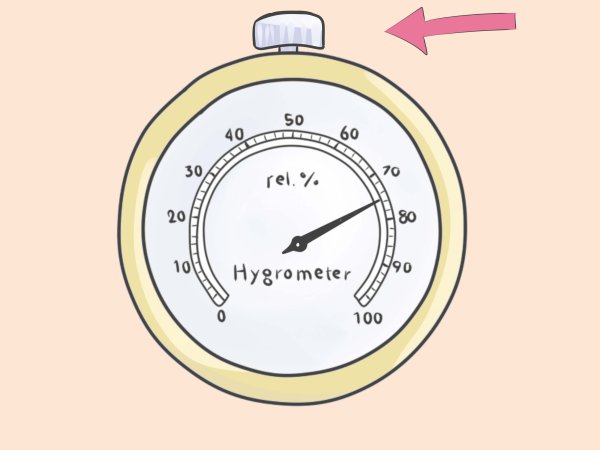 Гигрометр схематично
