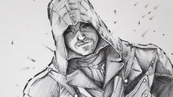 Ассасина Шей рисунок