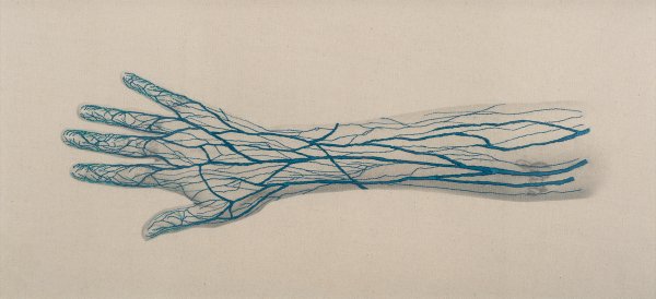 Система кровообращения человека схема