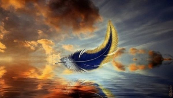 Перо птицы счастья