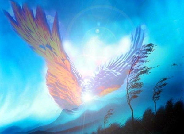 Небесное крыло