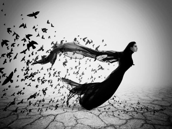 Птицы из души