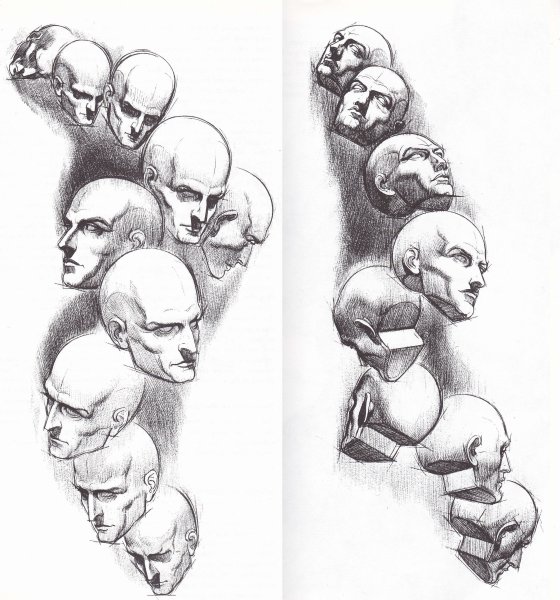 Динамическая анатомия для художников Берн Хогарт голова