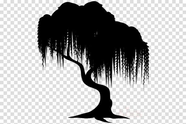 Плакучая Ива набросок