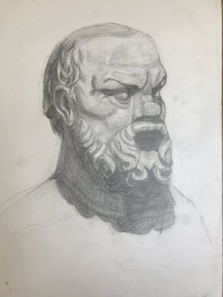 Сократ рисунок гипсовой головы