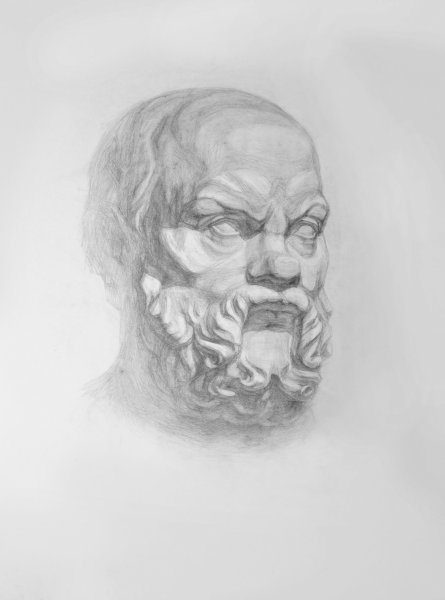 Сократ Академический рисунок