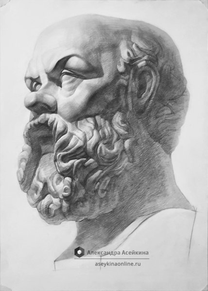Сократ рисунок гипсовой головы