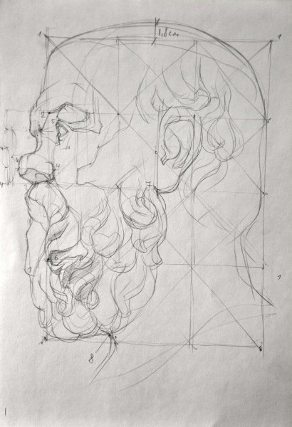 Голова Сократа Академический рисунок