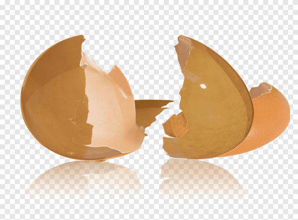 Скорлупа на прозрачном фоне