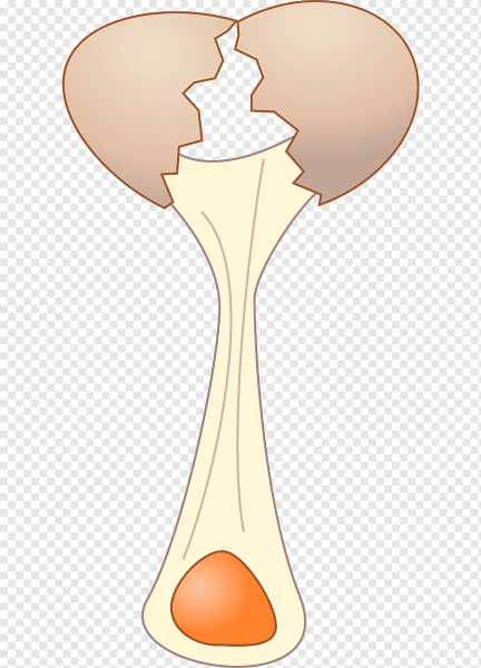 Нарисовать разбитое яйцо