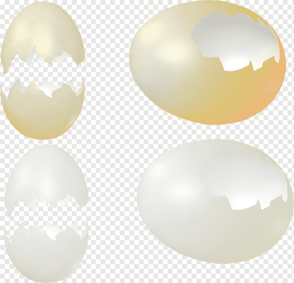 Скорлупа яиц